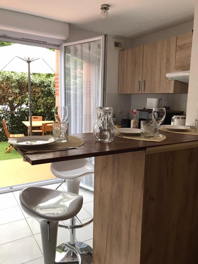 T2 Climatise Jardin & Court De Tennis/Piscine /Parking/Fibre Toulouse Exteriör bild